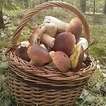 Lägenhet Perla 22 Jezioro Pluszne *