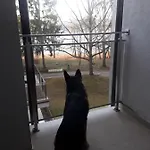 Perla 22 Jezioro Pluszne Lägenhet *