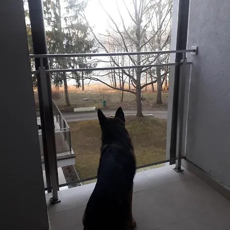 Perła 22 Jezioro Pluszne Appartamento *