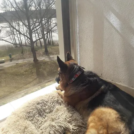 Perla 22 Jezioro Pluszne Daire *